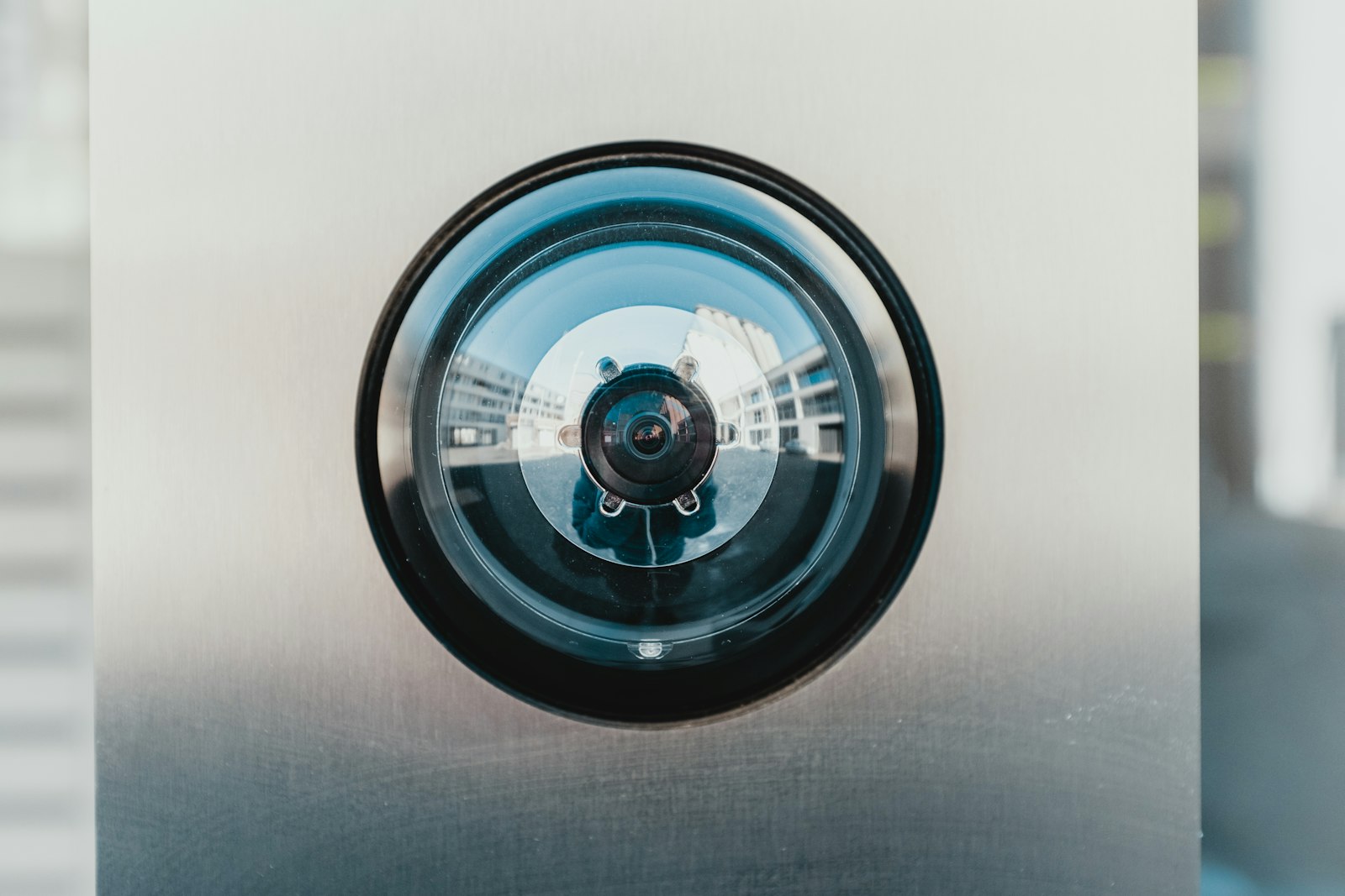 Дрова камерной сушки: разжигаются с одной спички в Кубинке